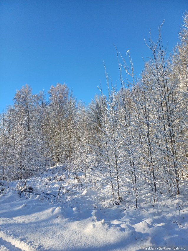 Снежное волшебство — Красивая природа и цветы: фото пейзажей