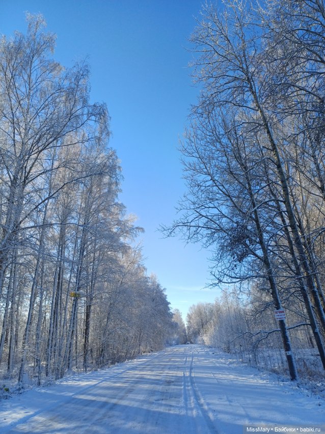 Снежное волшебство — Красивая природа и цветы: фото пейзажей