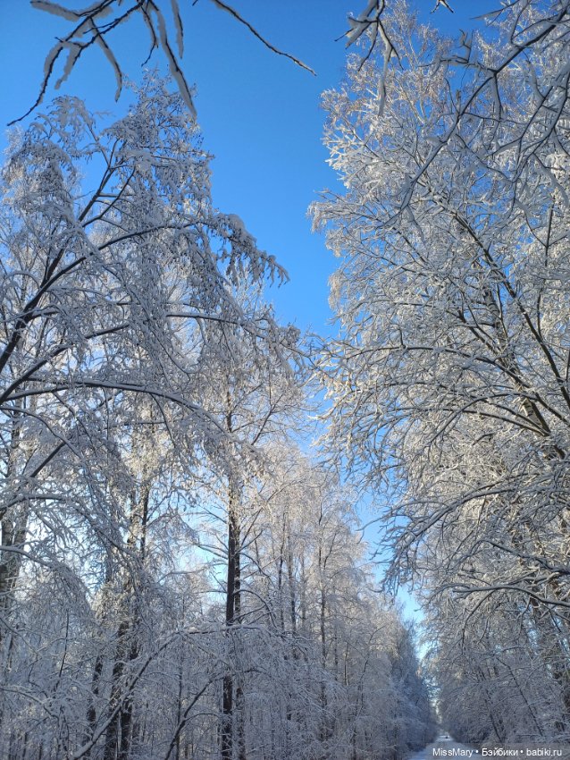 Снежное волшебство — Красивая природа и цветы: фото пейзажей
