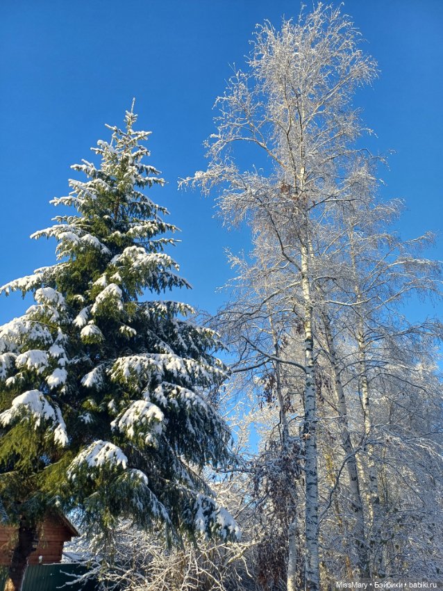 Снежное волшебство — Красивая природа и цветы: фото пейзажей