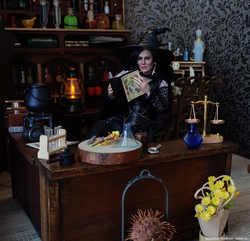 Хелависа и Магический кабинет (фото 6)