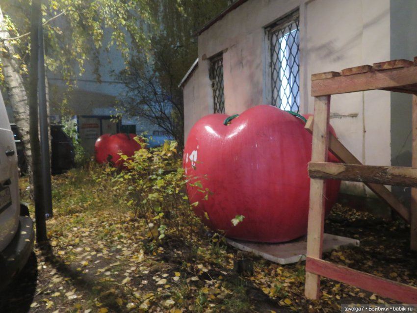 Третья прогулка Ари по Москве