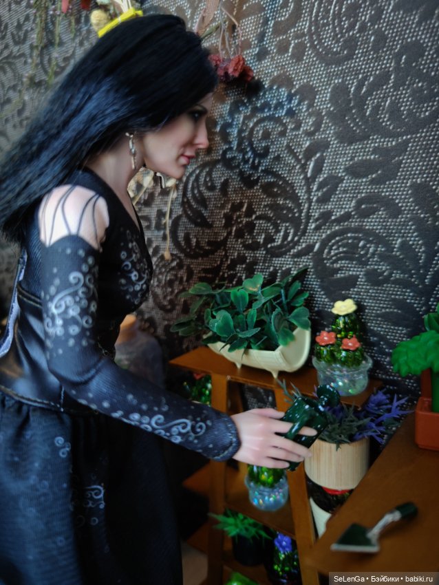 Хелависа и Магический кабинет