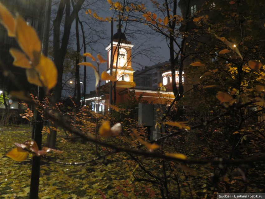 Третья прогулка Ари по Москве