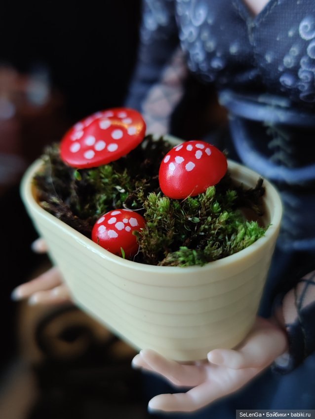 Хелависа и Магический кабинет