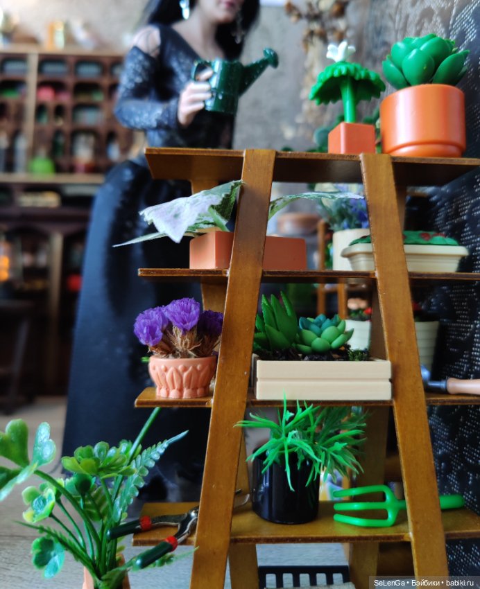 Хелависа и Магический кабинет