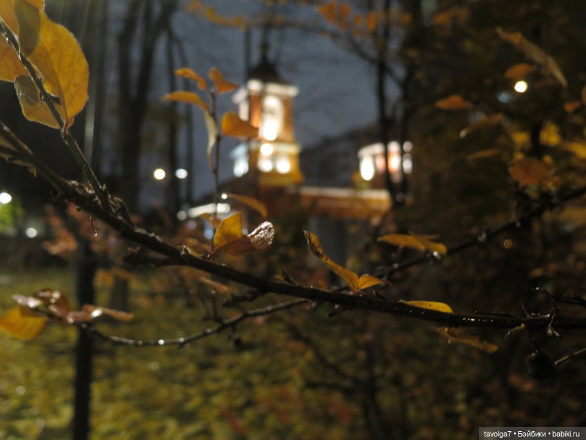 Третья прогулка Ари по Москве