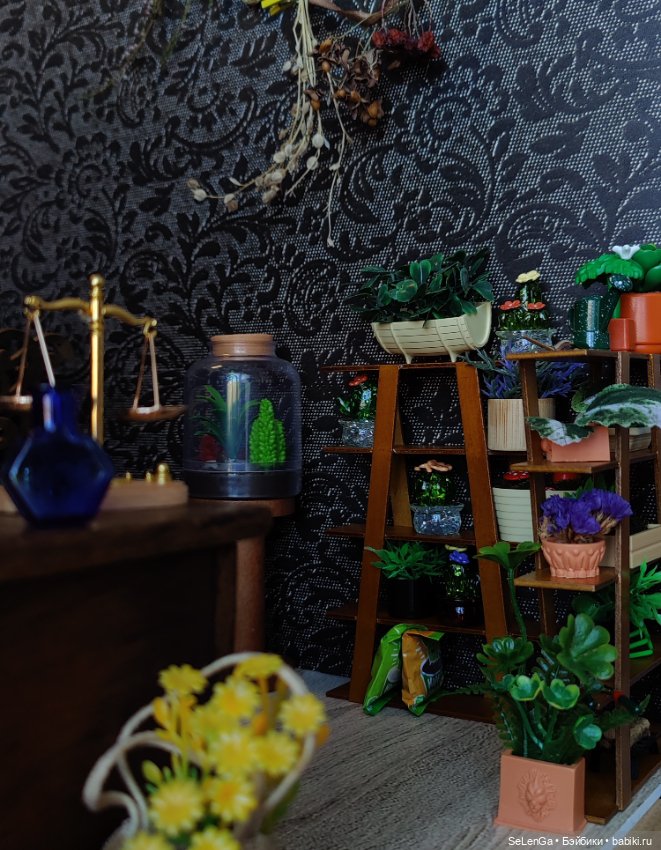 Хелависа и Магический кабинет