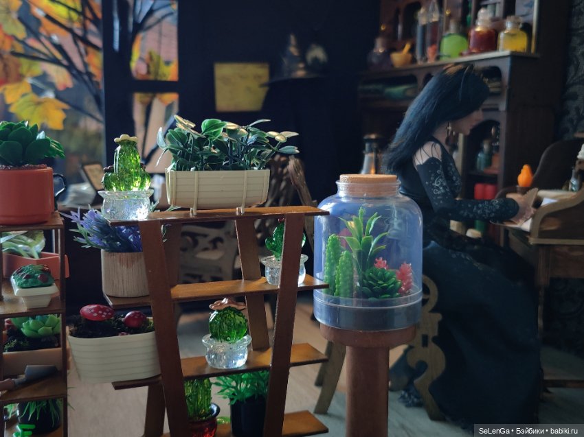 Хелависа и Магический кабинет