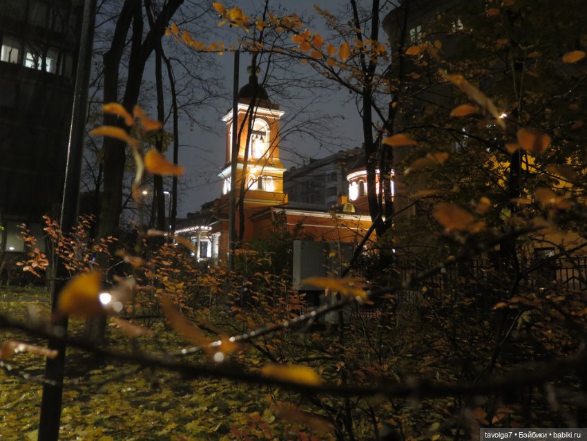 Третья прогулка Ари по Москве