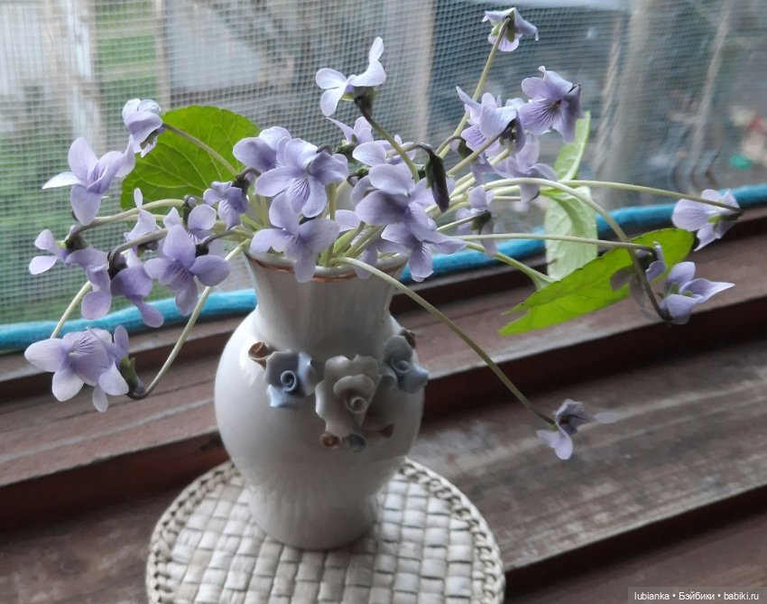 Цыпочка Ия🐥🐿💜 — Винтажные куклы ГДР (Немки): Бигги