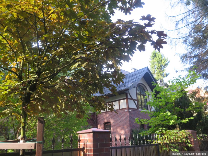 Звезда выезда на Балтику — Туризм и путешествия: фотоотчеты из поездок