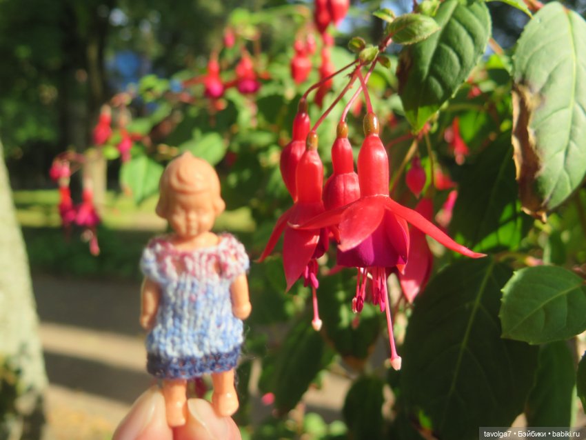 Звезда выезда на Балтику — Туризм и путешествия: фотоотчеты из поездок