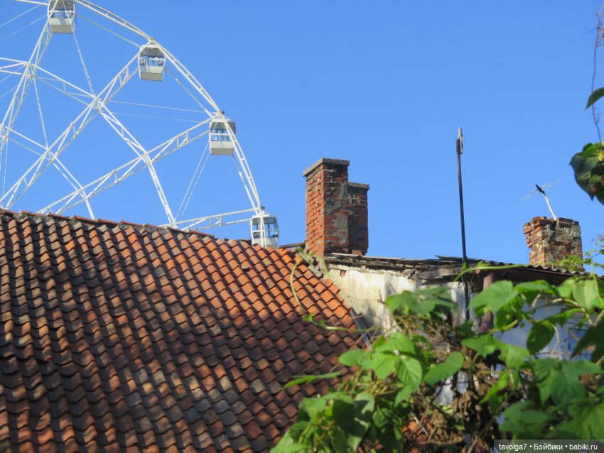 Звезда выезда на Балтику — Туризм и путешествия: фотоотчеты из поездок