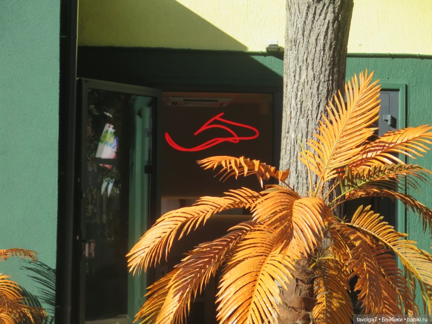 Звезда выезда на Балтику — Туризм и путешествия: фотоотчеты из поездок (фото 4)