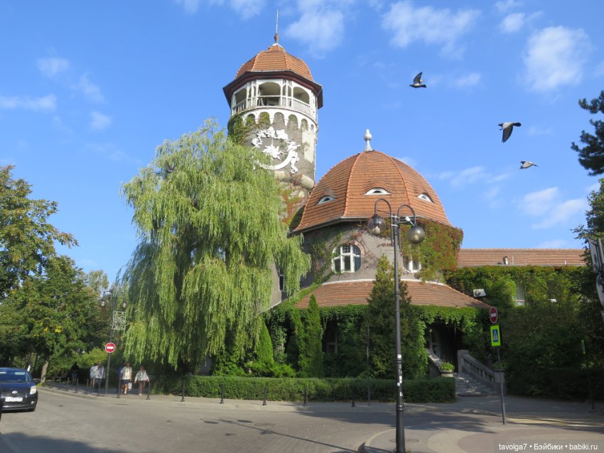 Звезда выезда на Балтику — Туризм и путешествия: фотоотчеты из поездок