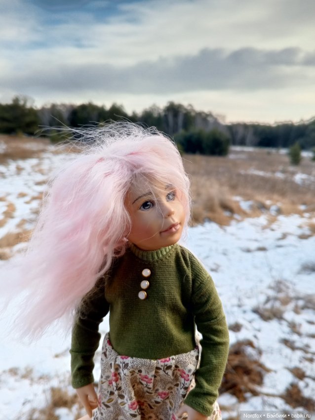 Пемберли в осенне-зимнем лесу 🍁 (фото 10)