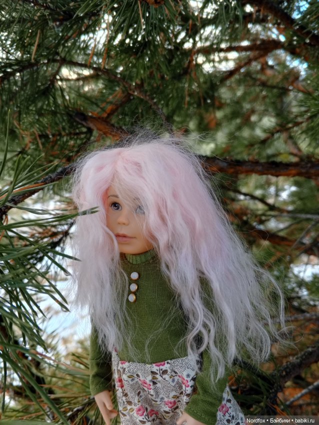 Пемберли в осенне-зимнем лесу 🍁 (фото 8)