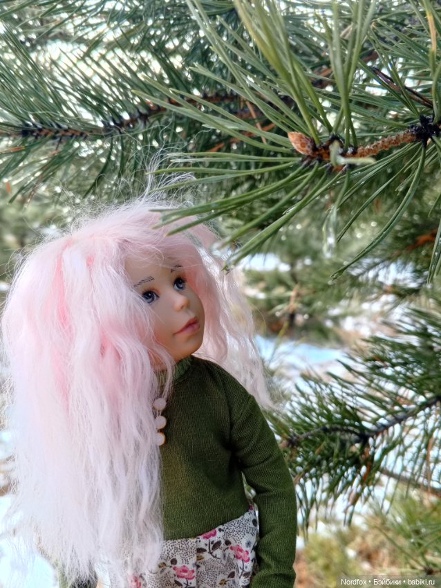 Пемберли в осенне-зимнем лесу 🍁 (фото 7)