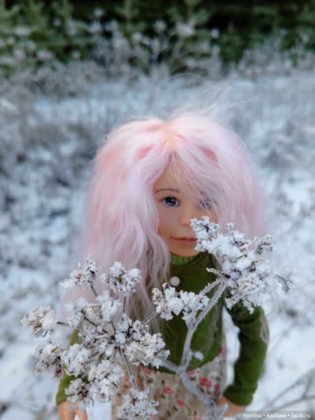 Пемберли в осенне-зимнем лесу 🍁 (фото 2)