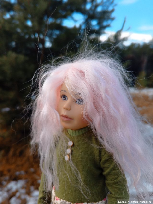 Пемберли в осенне-зимнем лесу 🍁 (фото 6)