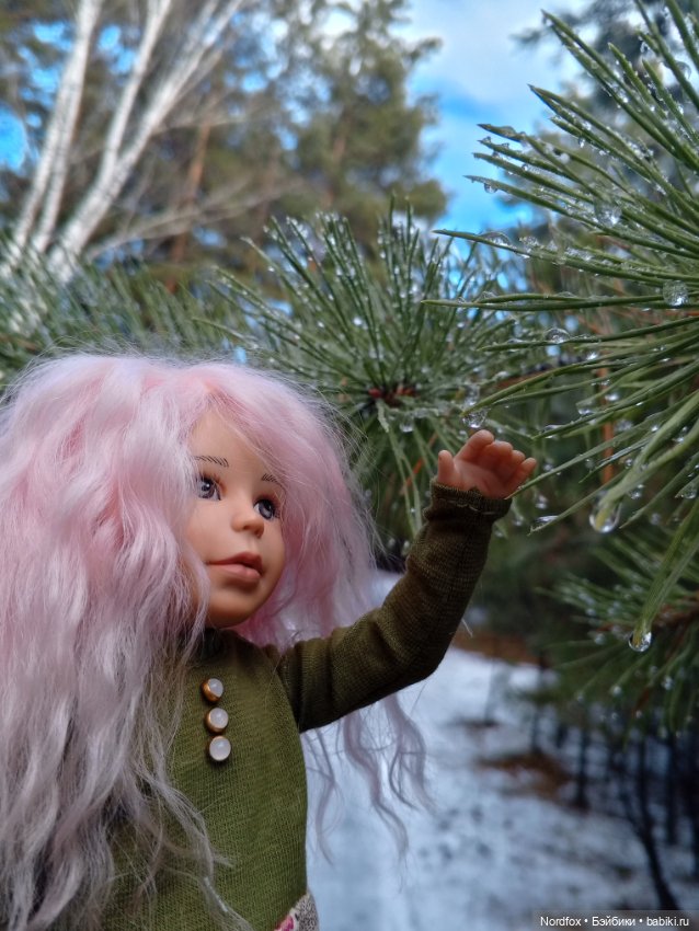 Пемберли в осенне-зимнем лесу 🍁 (фото 3)