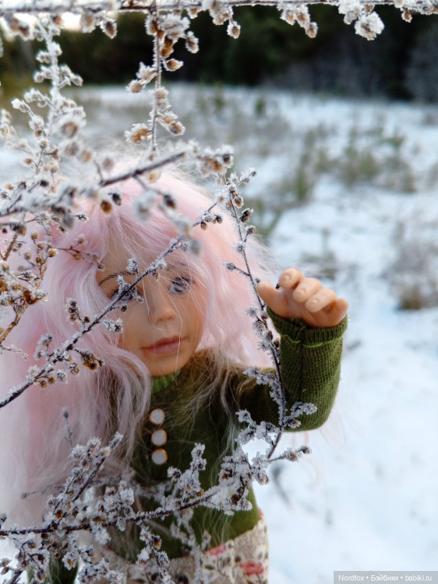 Пемберли в осенне-зимнем лесу 🍁