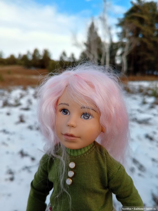 Пемберли в осенне-зимнем лесу 🍁 (фото 9)