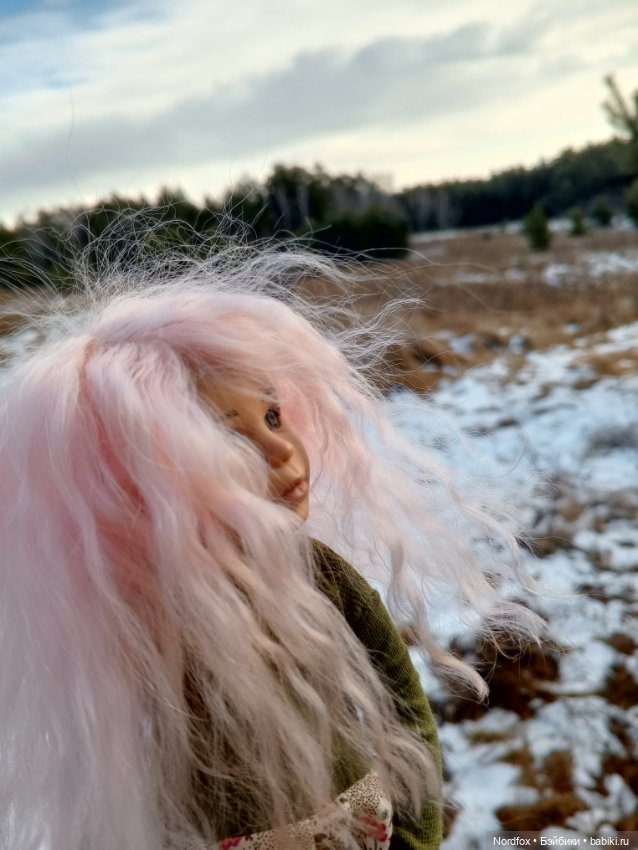 Пемберли в осенне-зимнем лесу 🍁