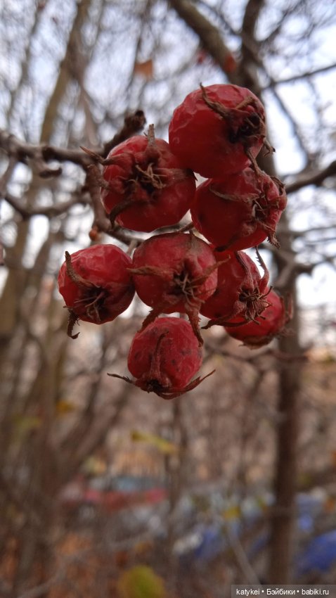 Фрейд был прав (Мираж и 16-й этаж)