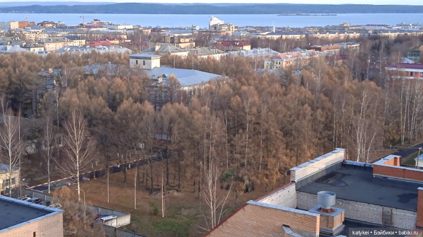 Фрейд был прав (Мираж и 16-й этаж) (фото 6)