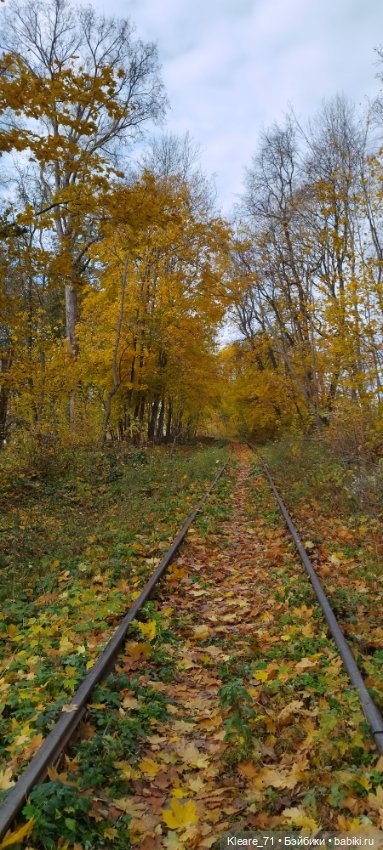 Осень в лесу — Куклы Paola Reina (Паола Рейна): новинки (фото 6)
