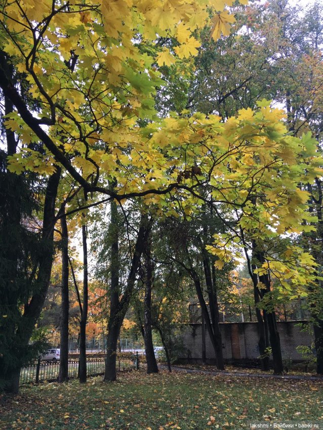 Женька и Танюшка - девочки октября