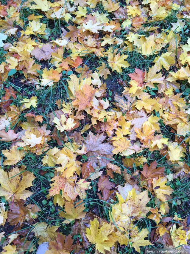 Женька и Танюшка - девочки октября