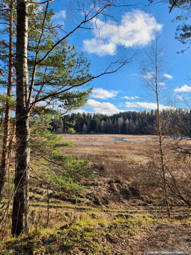 Спокойной тебе зимы, лес — Гибриды шарнирных кукол (не БЖД): подбор тела
