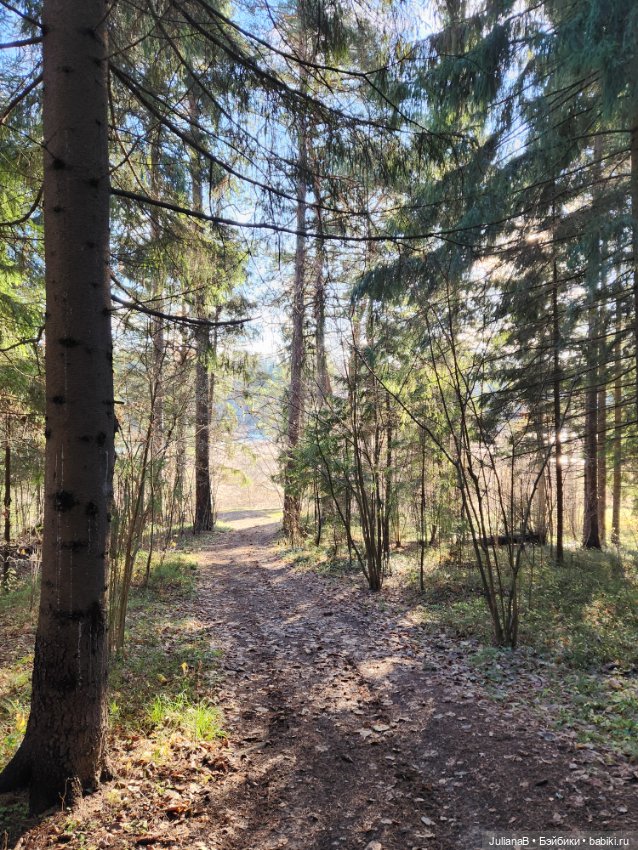 Спокойной тебе зимы, лес — Гибриды шарнирных кукол (не БЖД): подбор тела