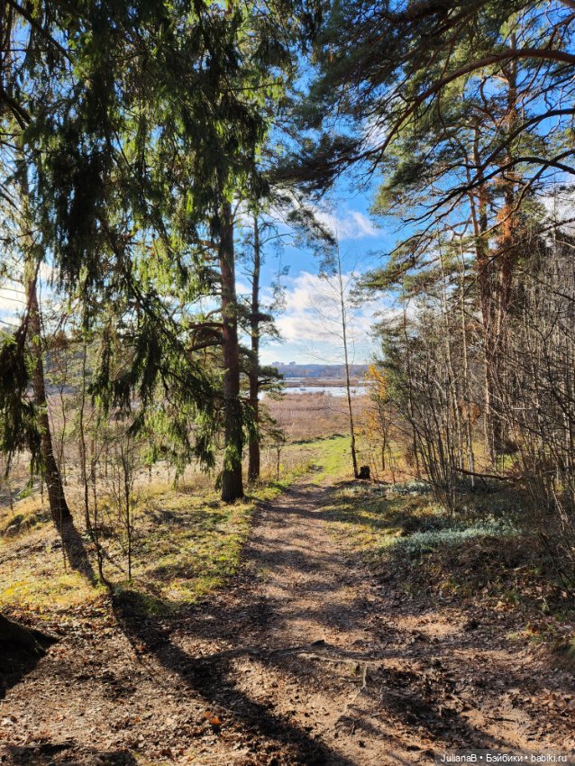 Спокойной тебе зимы, лес — Гибриды шарнирных кукол (не БЖД): подбор тела