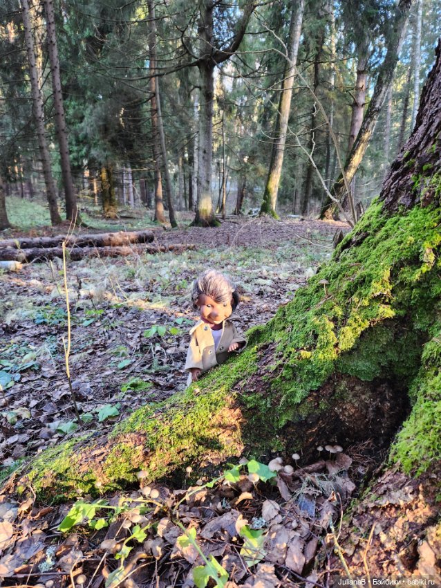 Спокойной тебе зимы, лес — Гибриды шарнирных кукол (не БЖД): подбор тела (фото 8)