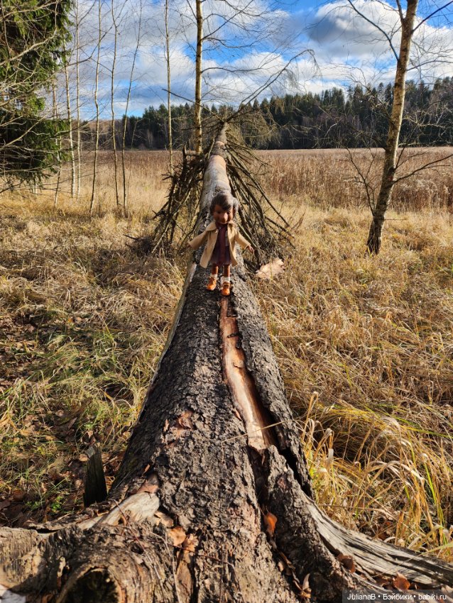 Спокойной тебе зимы, лес — Гибриды шарнирных кукол (не БЖД): подбор тела