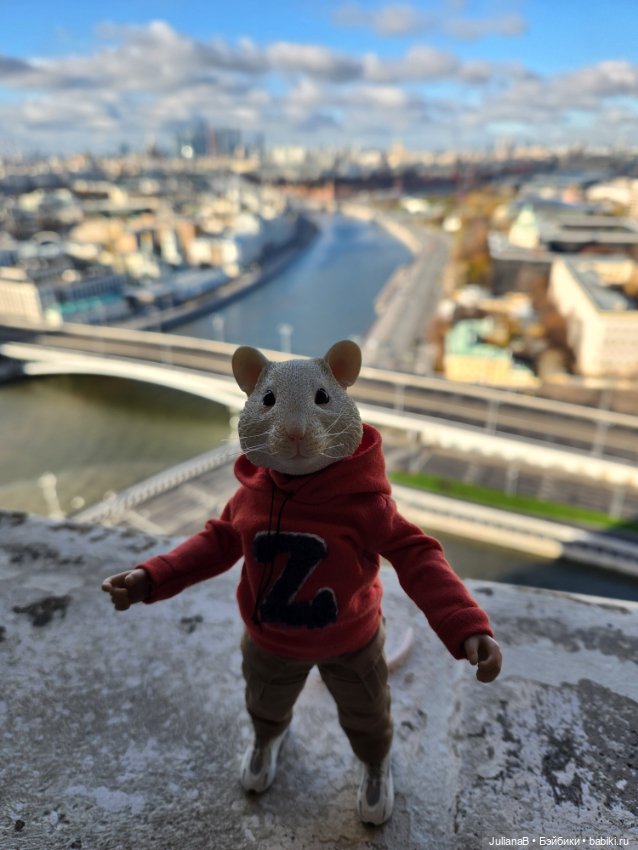 Сталинка в Котельниках — Разные шарнирные куклы (не БЖД): редкие