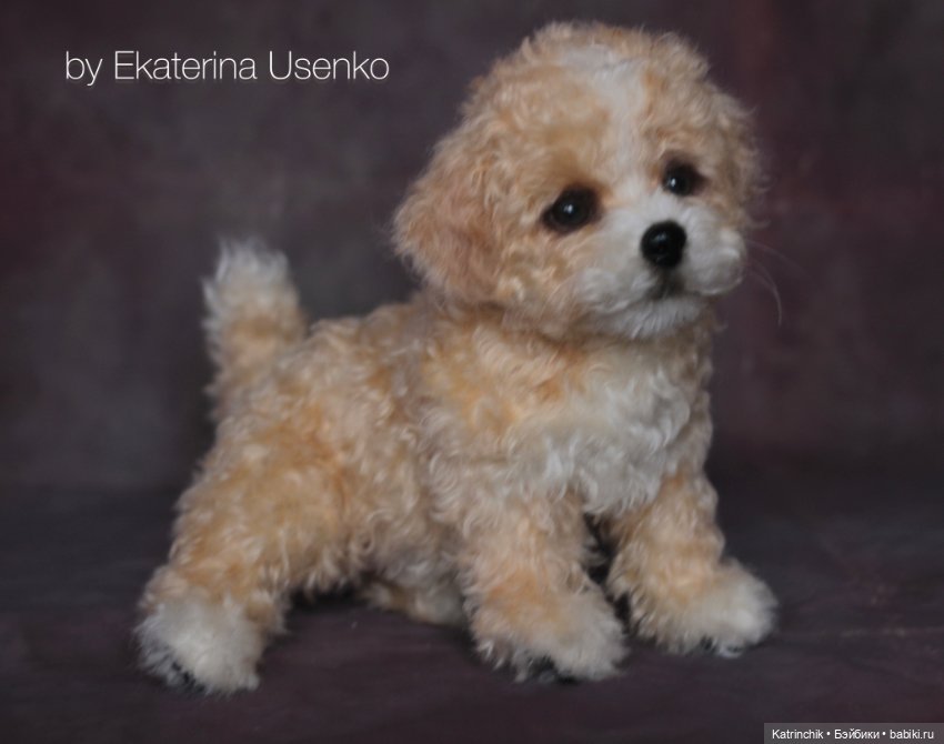 Щенок мальтипу — Авторские мишки Тедди и друзья: фото (фото 9)