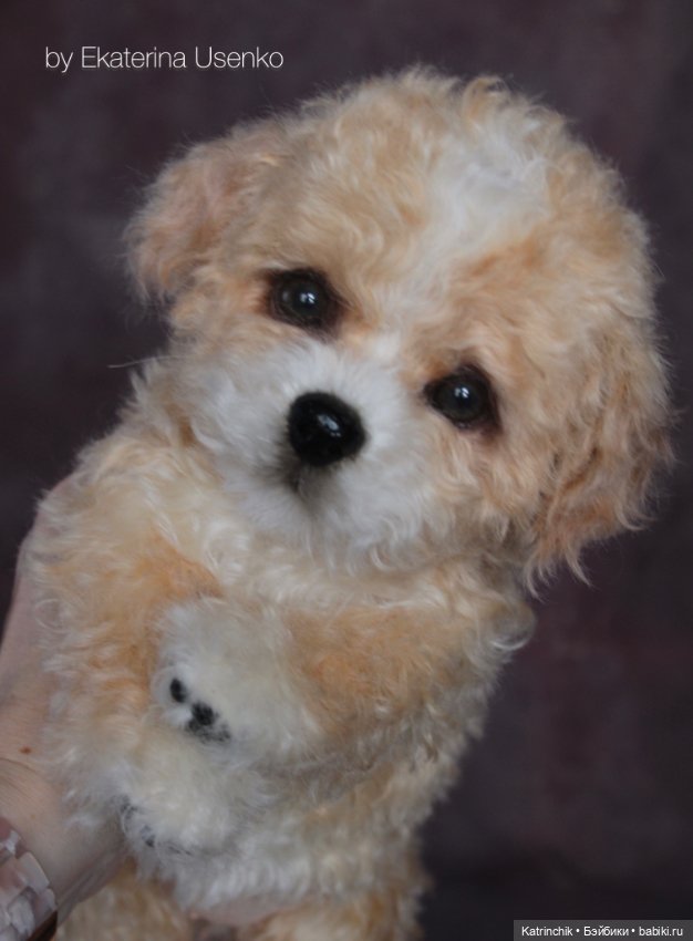 Щенок мальтипу — Авторские мишки Тедди и друзья: фото (фото 7)