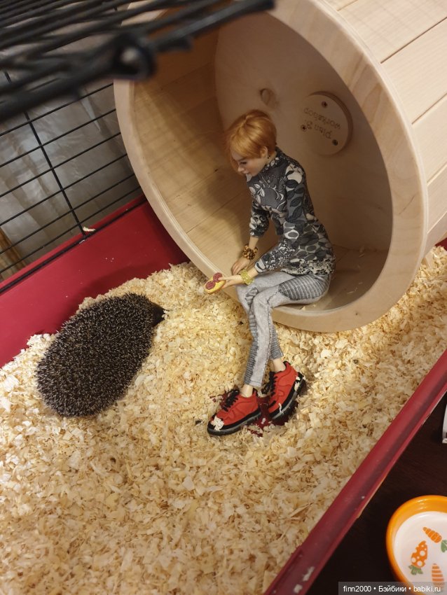 В мире животных: смешные фото питомцев и зверей (фото 2)