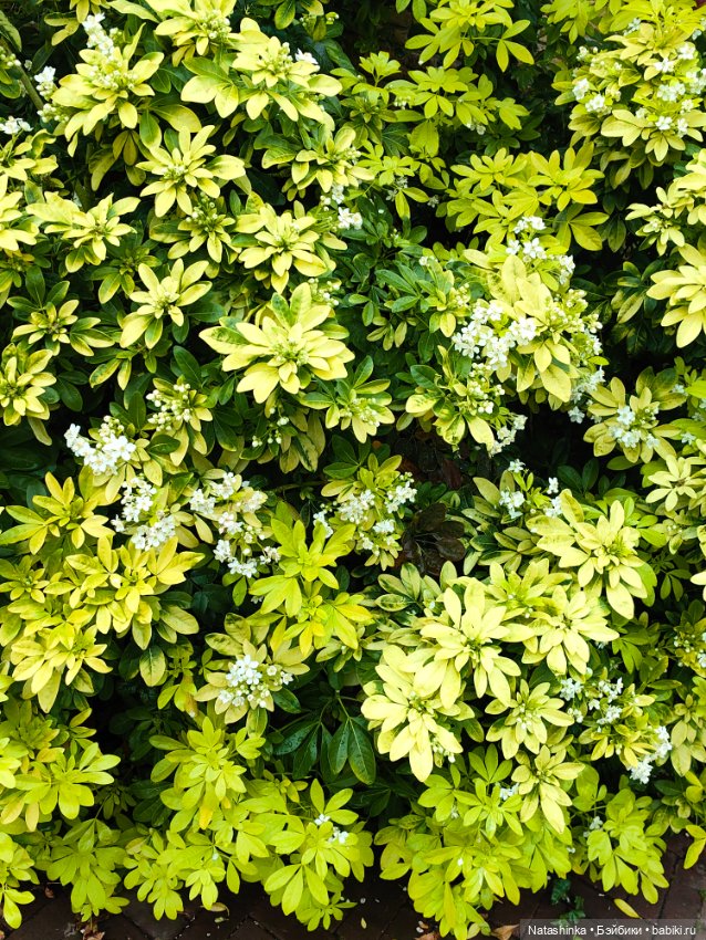 Музыкальная История 162 — Туризм и путешествия: фотоотчеты из поездок