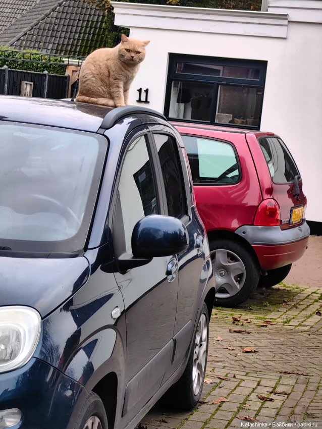 Музыкальная История 162 — Туризм и путешествия: фотоотчеты из поездок (фото 8)