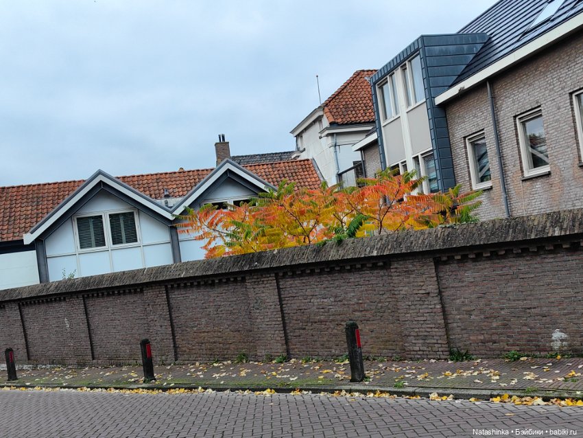 Музыкальная История 162 — Туризм и путешествия: фотоотчеты из поездок