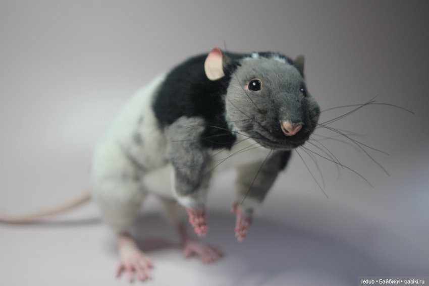 КрЫсота — Игрушки в смешанной технике (мех и глина): Арт