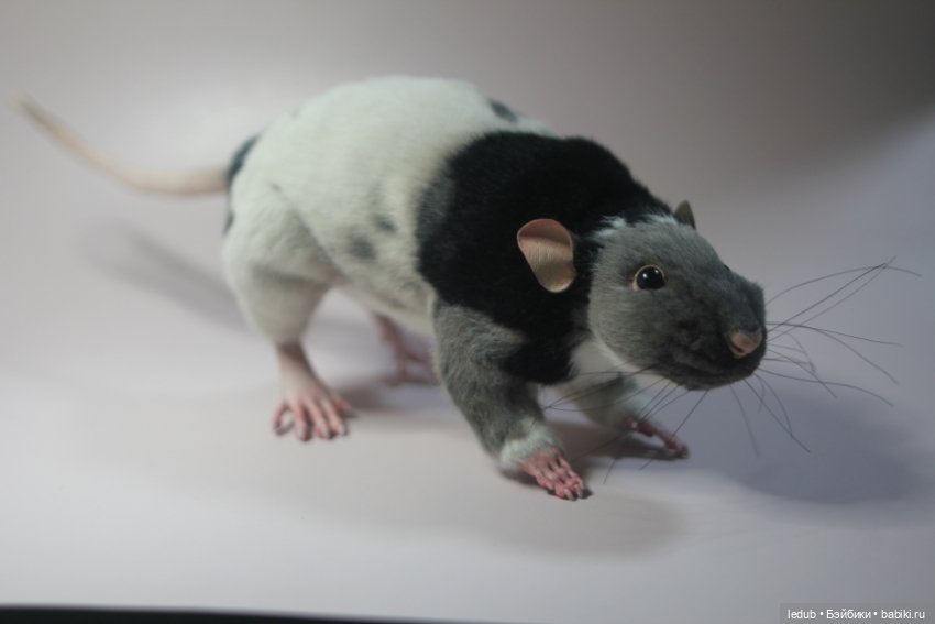 КрЫсота — Игрушки в смешанной технике (мех и глина): Арт (фото 6)