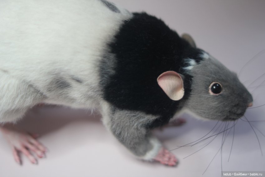 КрЫсота — Игрушки в смешанной технике (мех и глина): Арт (фото 7)