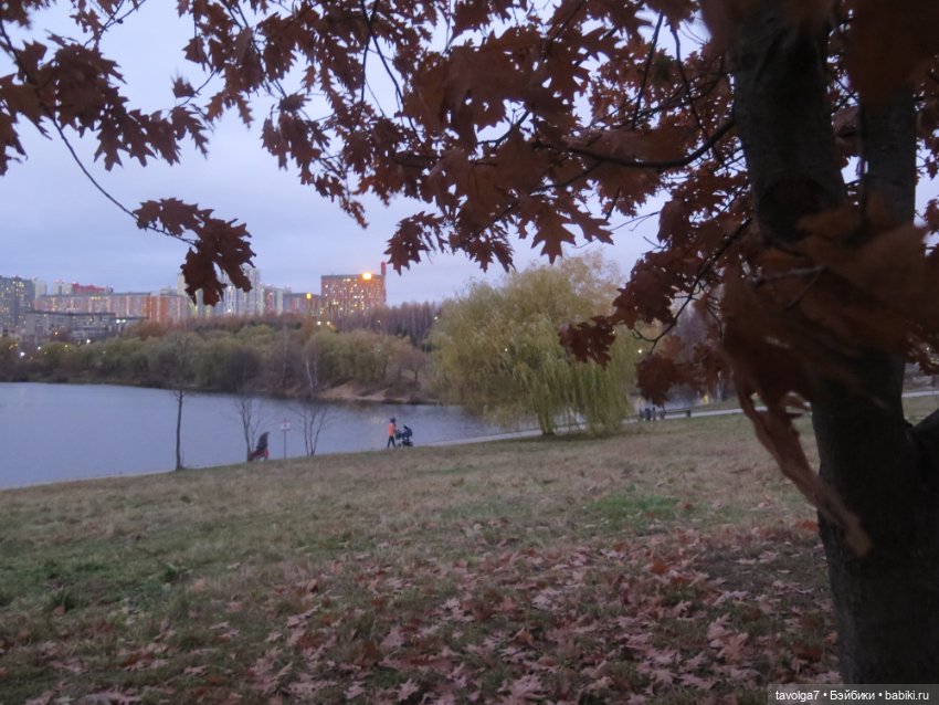 Флёр World of Love ноябрь